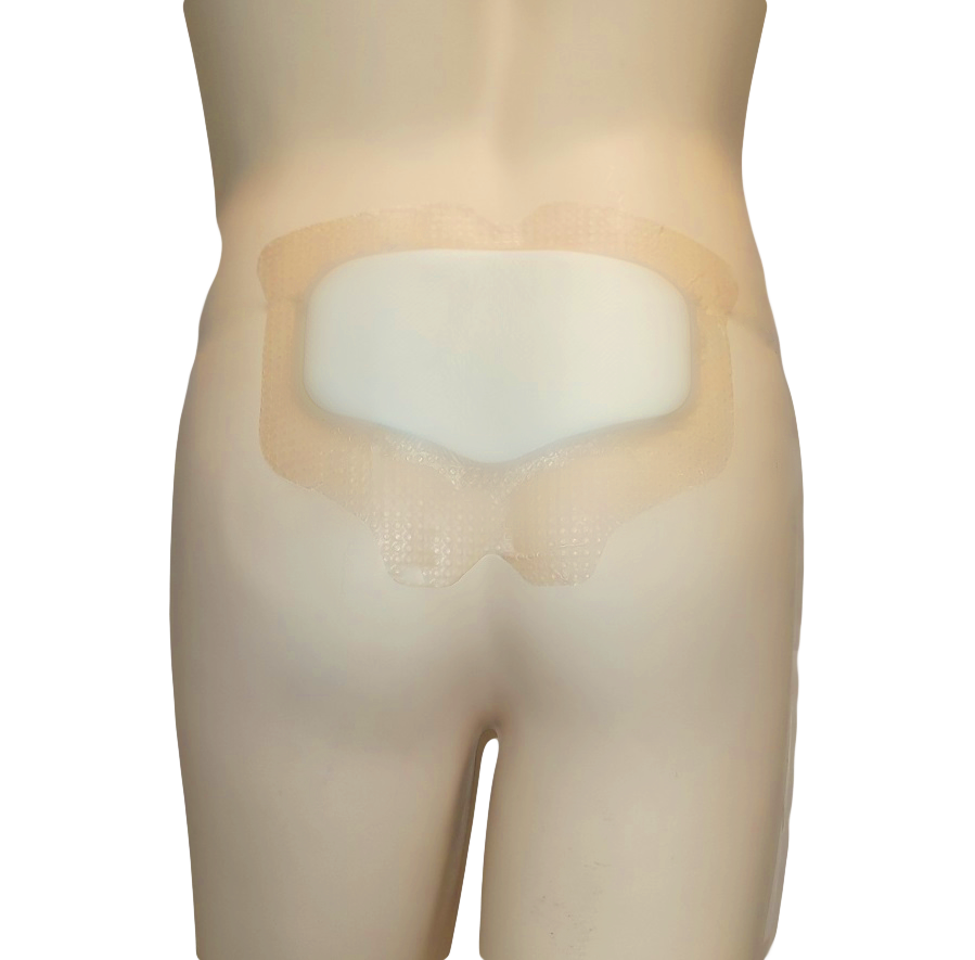 레노폼에스비 sacrum 마네킹사진2(재수정).png